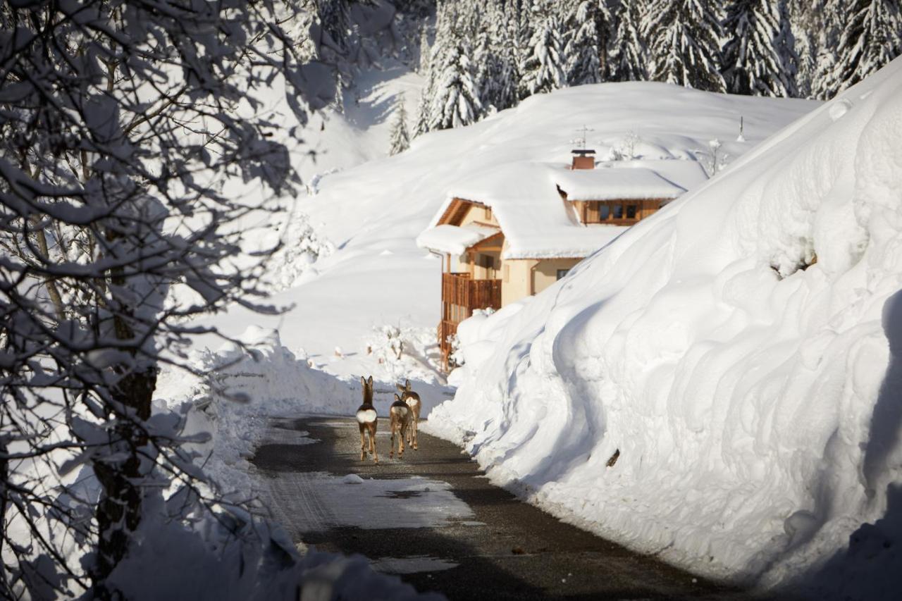 Sotciastel Antico Chalet บาเดีย ภายนอก รูปภาพ
